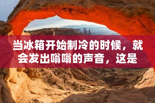 当冰箱开始制冷的时候，就会发出嗡嗡的声音，这是正常的。但是，如果冰箱制冷的同时不停机，那么就有可能出现一些问题。这种情况可能会导致冰箱过度运转，增加能耗，甚至会导致冰箱故障。