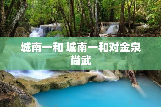 城南一和 城南一和对金泉尚武
