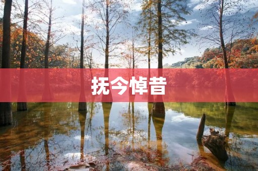 抚今悼昔：回忆与思考