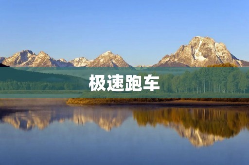 极速跑车：让你感受速度与**