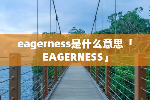 eagerness是什么意思「EAGERNESS」