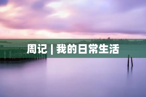 周记 | 我的日常生活