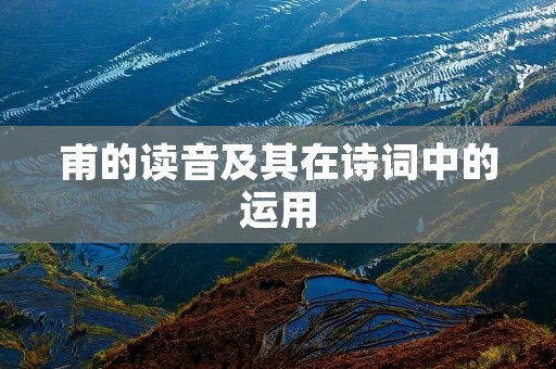 甫的读音及其在诗词中的运用 甫的读音及其在诗词中的运用
