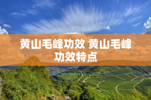 黄山毛峰功效 黄山毛峰功效特点