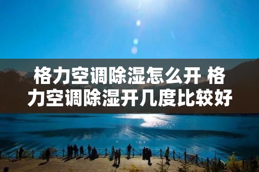 格力空调除湿怎么开 格力空调除湿开几度比较好