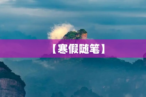 【寒假随笔】