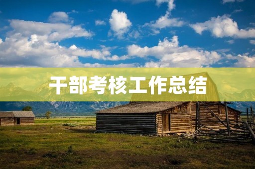 干部考核工作总结