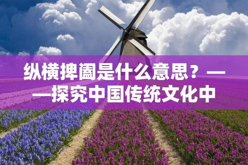 纵横捭阖是什么意思?——探究中国传统文化中的“纵横捭阖”
