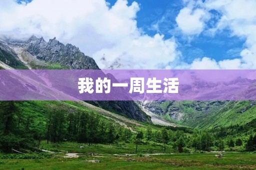 我的一周生活 我的一周生活