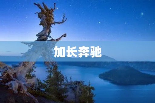 加长奔驰:豪华与实用的完美结合 加长奔驰:豪华与实用的完美结合