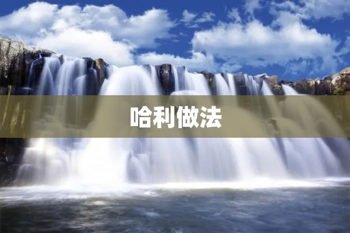 哈利做法:让你轻松掌握的高效学习方法 哈利做法:让你轻松掌握的高效学习方法