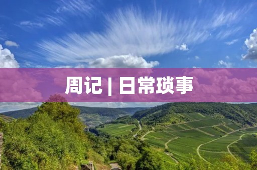 周记 | 日常琐事 周记 | 日常琐事