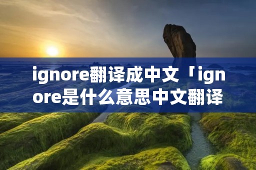 ignore翻译成中文「ignore是什么意思中文翻译」