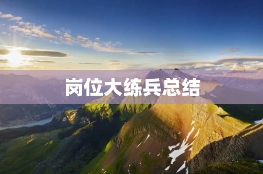 岗位大练兵总结：提升自我，增强团队凝聚力