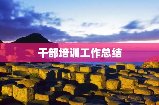 干部培训工作总结
