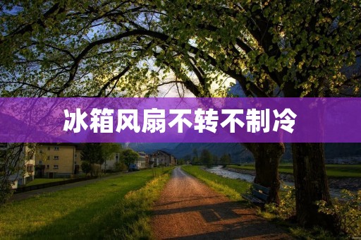 冰箱风扇不转不制冷：原因及解决方案