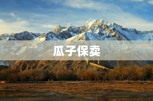 瓜子保卖：让二手车交易更安心