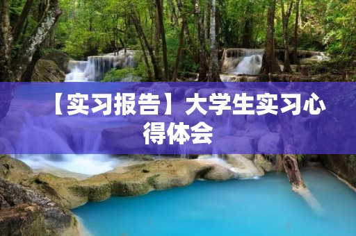 【实习报告】大学生实习心得体会