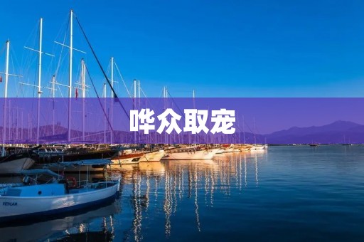 哗众取宠：追求短暂的虚荣与快乐
