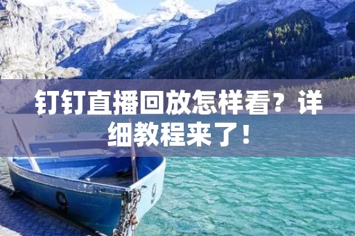 钉钉直播回放怎样看?详细教程来了! 钉钉直播回放怎样看?详细教程来了!