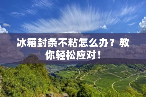 冰箱封条不粘怎么办？教你轻松应对！