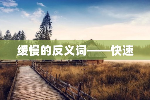 缓慢的反义词——快速