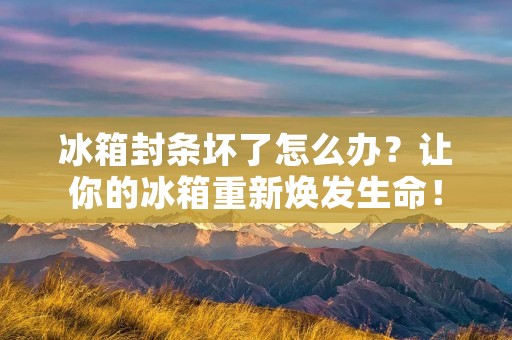 冰箱封条坏了怎么办？让你的冰箱重新焕发生命！