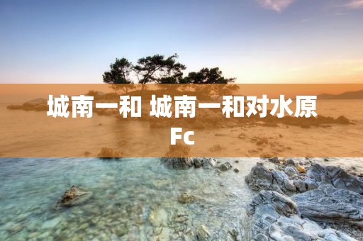 城南一和 城南一和对水原Fc