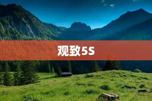观致5S:中国品牌向世界发起挑战的代表作 观致5S:中国品牌向世界发起挑战的代表作