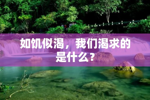 如饥似渴，我们渴求的是什么？