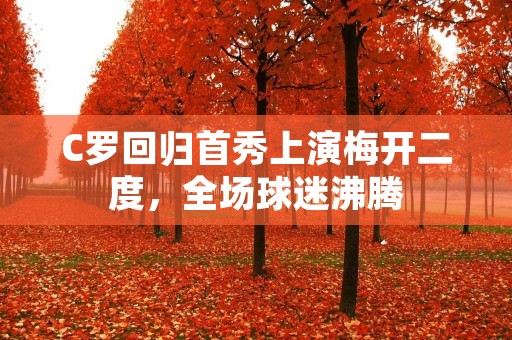 C罗回归首秀上演梅开二度，全场球迷沸腾