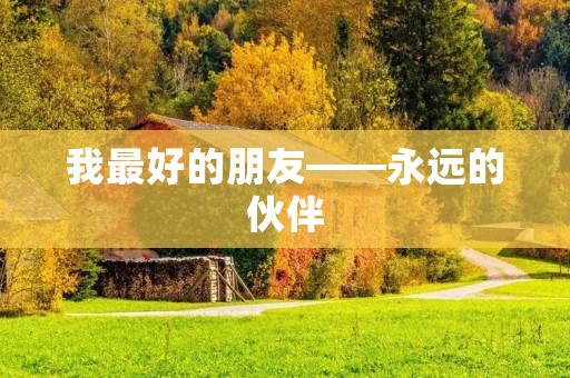 我最好的朋友——永远的伙伴
