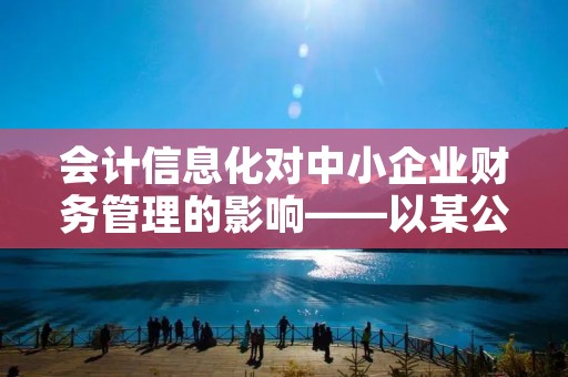 会计信息化对中小企业财务管理的影响——以某公司为例