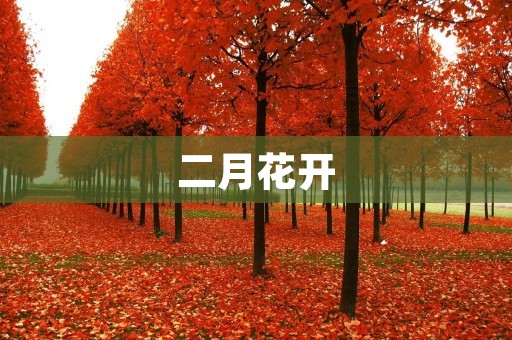 二月花开:春天的第一缕阳光 二月花开:春天的第一缕阳光