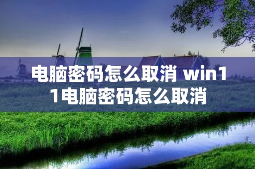 电脑密码怎么取消 win11电脑密码怎么取消