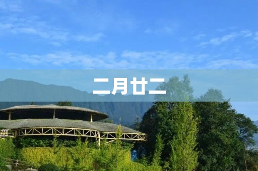 二月廿二:一个特殊的日子 二月廿二:一个特殊的日子