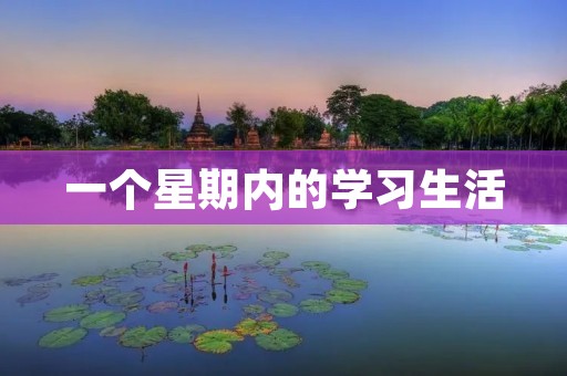 一个星期内的学习生活