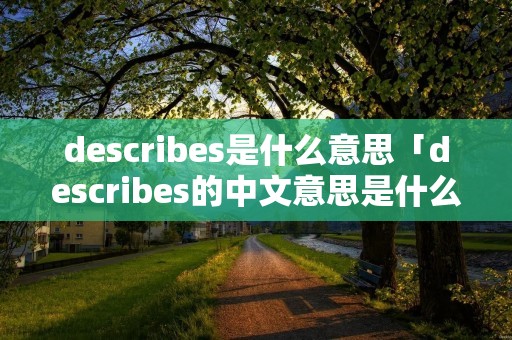 describes是什么意思「describes的中文意思是什么」