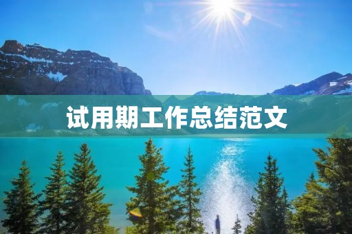 试用期工作总结范文:个人成长与团队协作