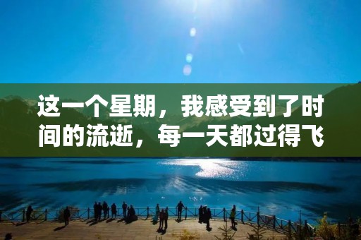 这一个星期,我感受到了时间的流逝,每一天都过得飞快。在这个快节奏的生活中,我学会了更好地安排时间,让自己更有效率地完成任务。 这一个星期,我感受到了时间的流逝,每一天都过得飞快。在这个快节奏的生活中,我学会了更好地安排时间,让自己更有效率地完成任务。