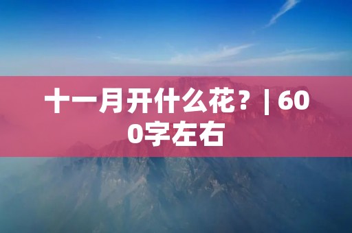 十一月开什么花?| 600字左右