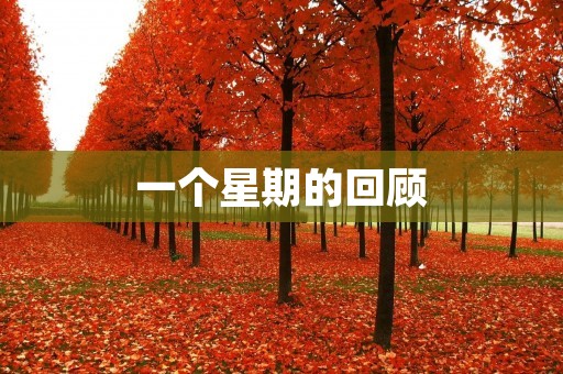 一个星期的回顾