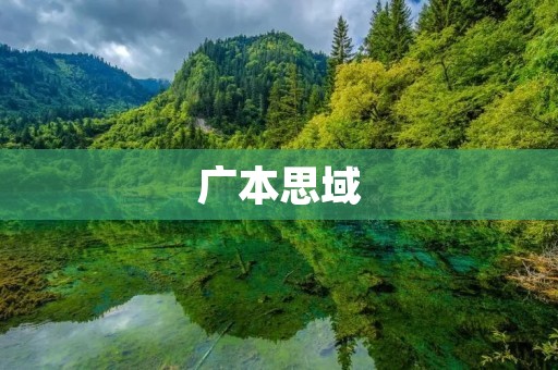 广本思域:新时代的精英之选 广本思域:新时代的精英之选