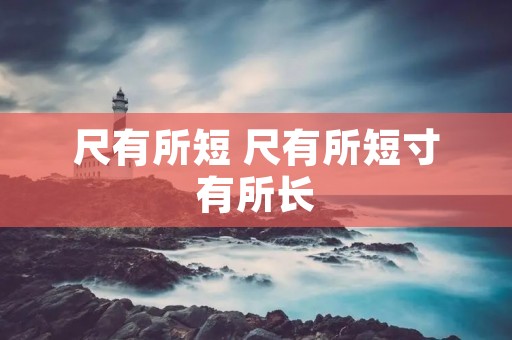 尺有所短 尺有所短寸有所长