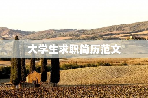 大学生求职简历范文:如何打造一份优秀的简历