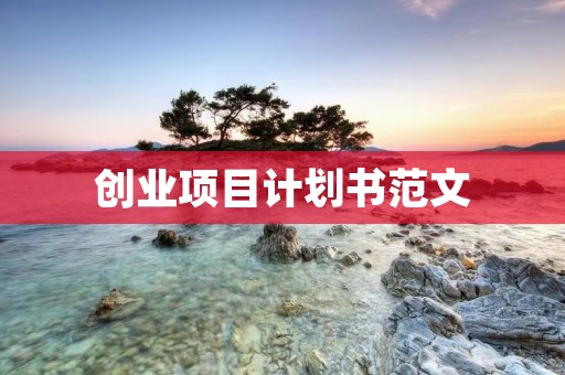 创业项目计划书范文:健康饮品连锁店