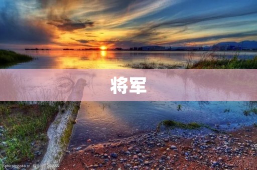 将军：历史上的军事领袖