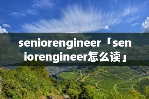 seniorengineer「seniorengineer怎么读」