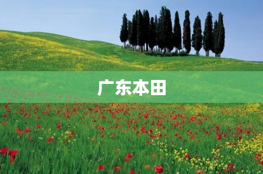 广东本田:探寻汽车行业巨头的成功之路 广东本田:探寻汽车行业巨头的成功之路