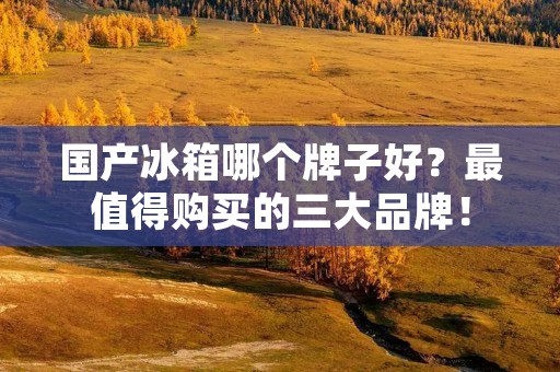 国产冰箱哪个牌子好？最值得购买的三大品牌！